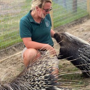 Meet your Posher, Hillary